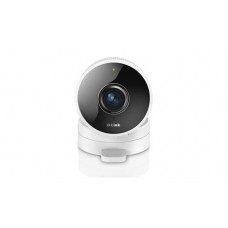 Camara De Vigilancia D-link Dcs-8100lh Hd 180-degree Wifi